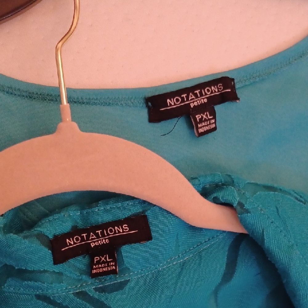 Notations Teal Sheer Button-Down Shirt With Matching Tank - Picture 6 of 10